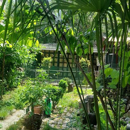 Gardens In Vake, Tbilisi酒店 外观 照片