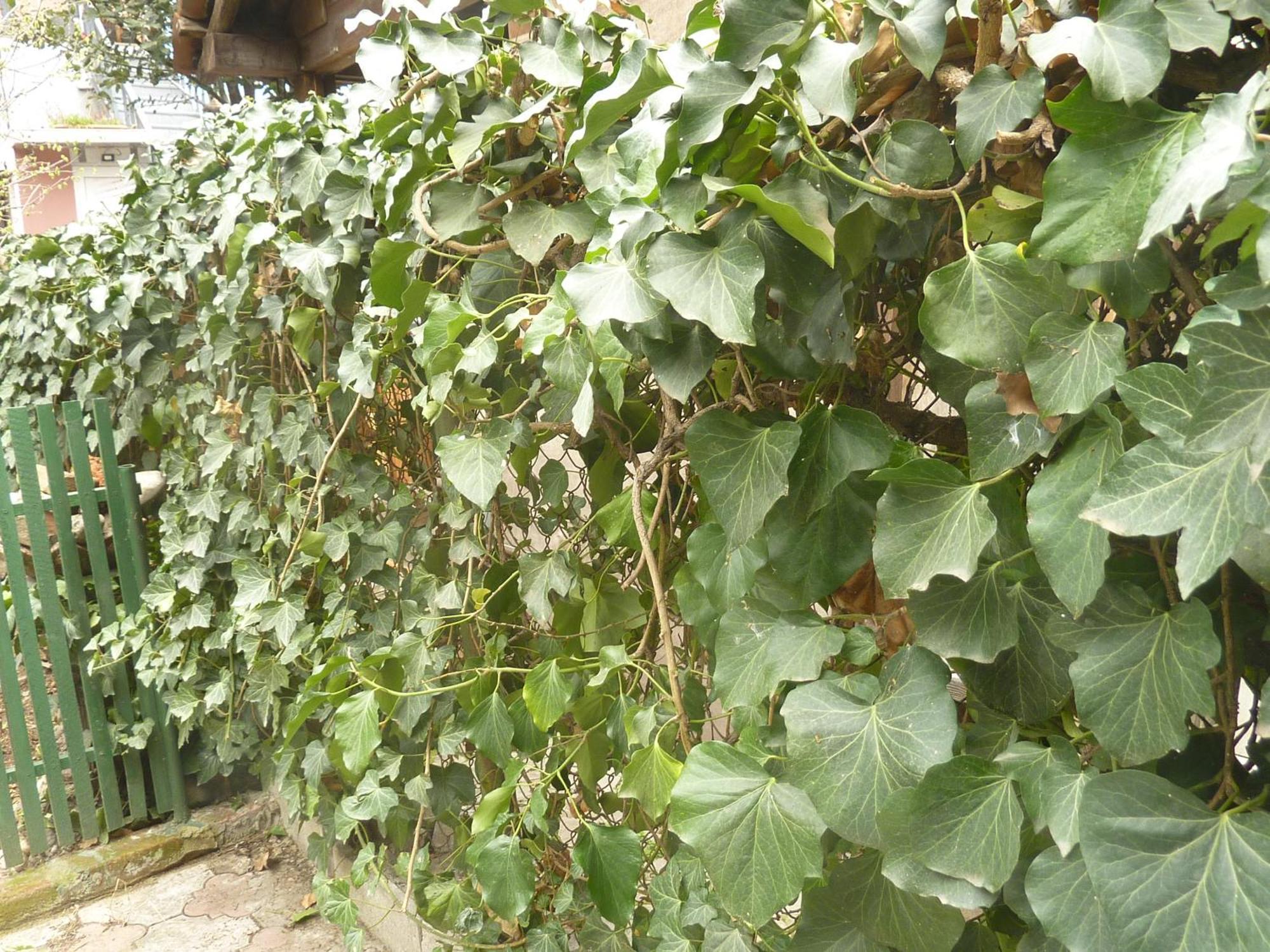 Gardens In Vake, Tbilisi酒店 外观 照片