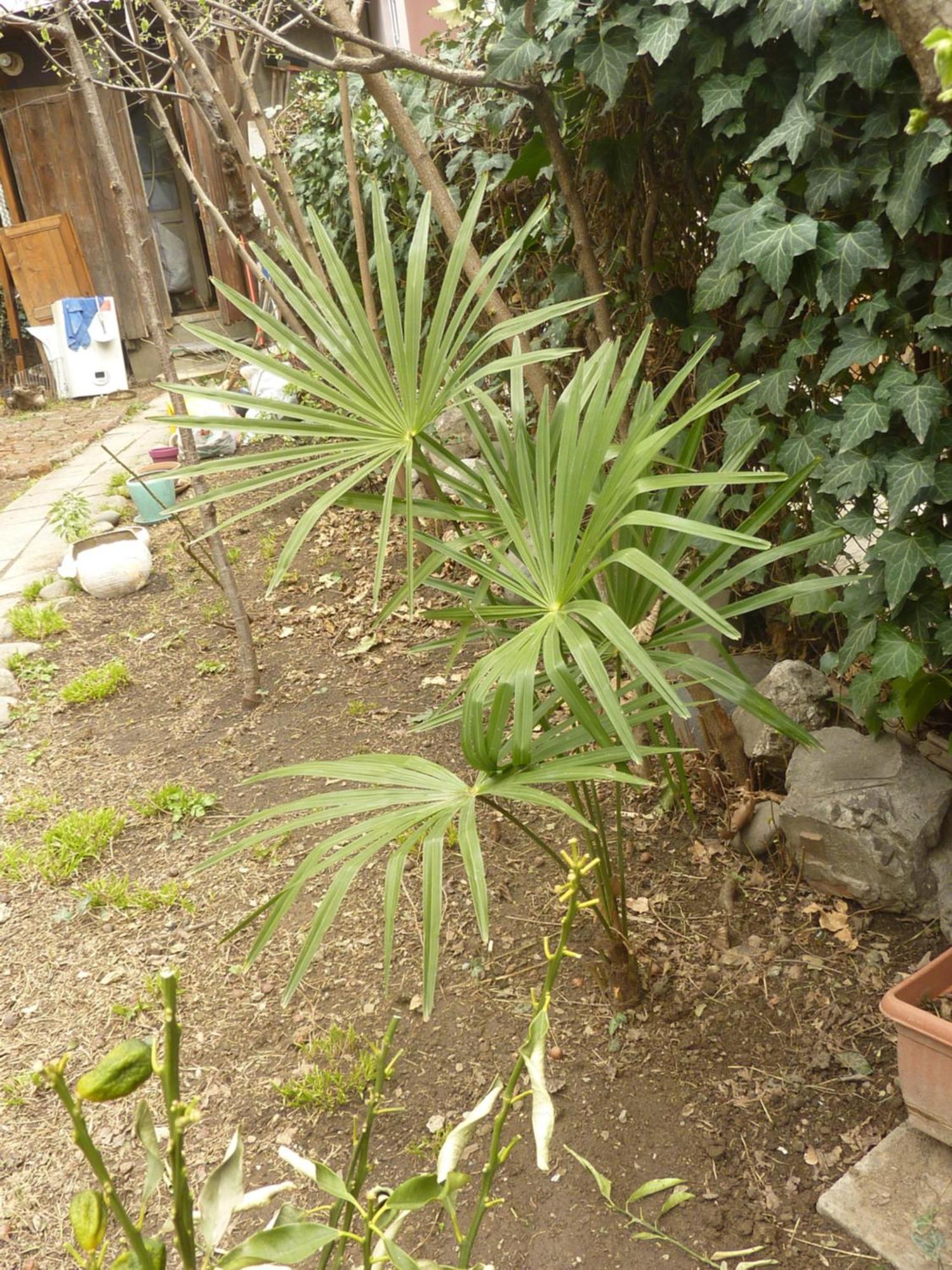 Gardens In Vake, Tbilisi酒店 外观 照片