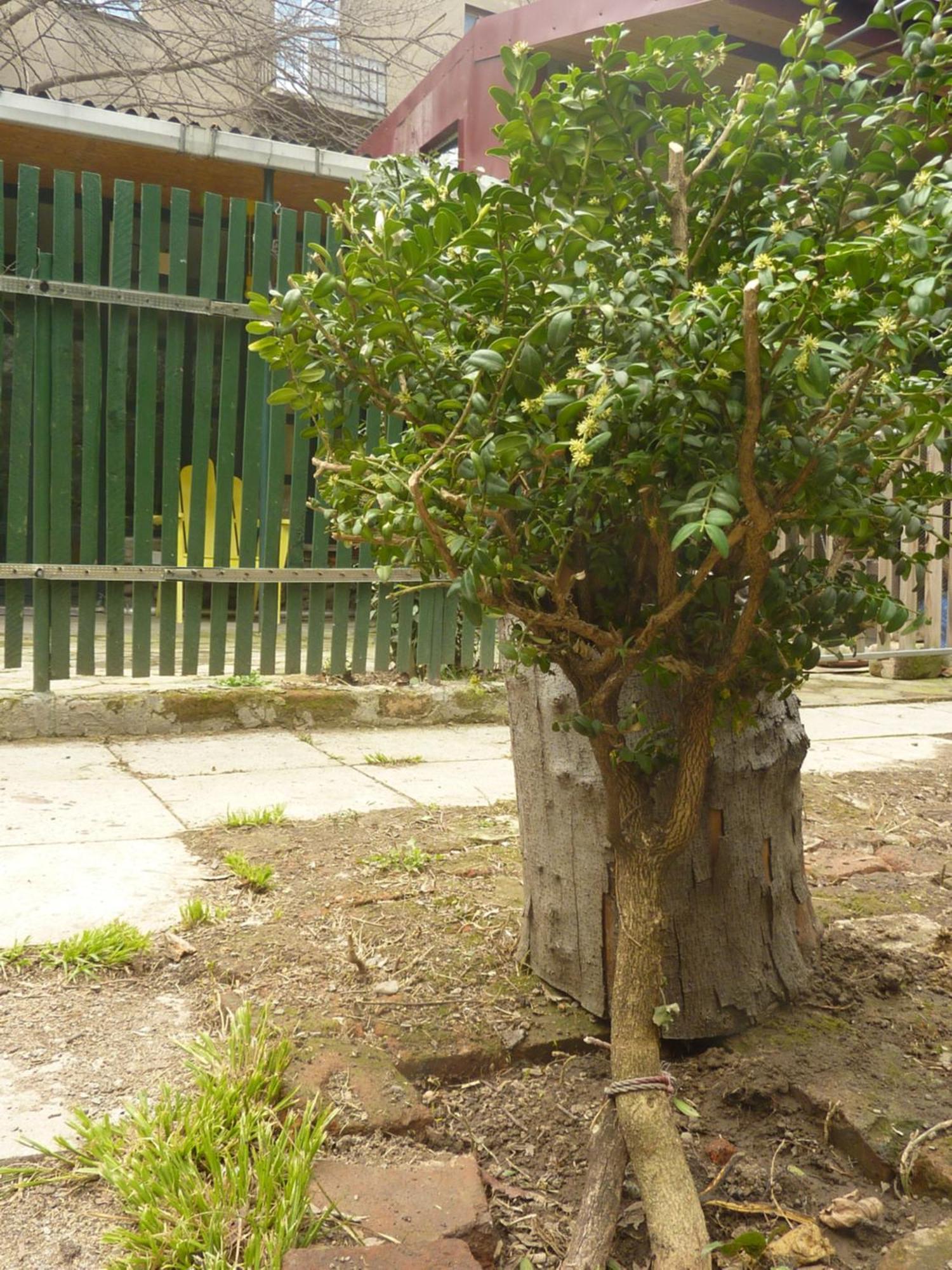 Gardens In Vake, Tbilisi酒店 外观 照片