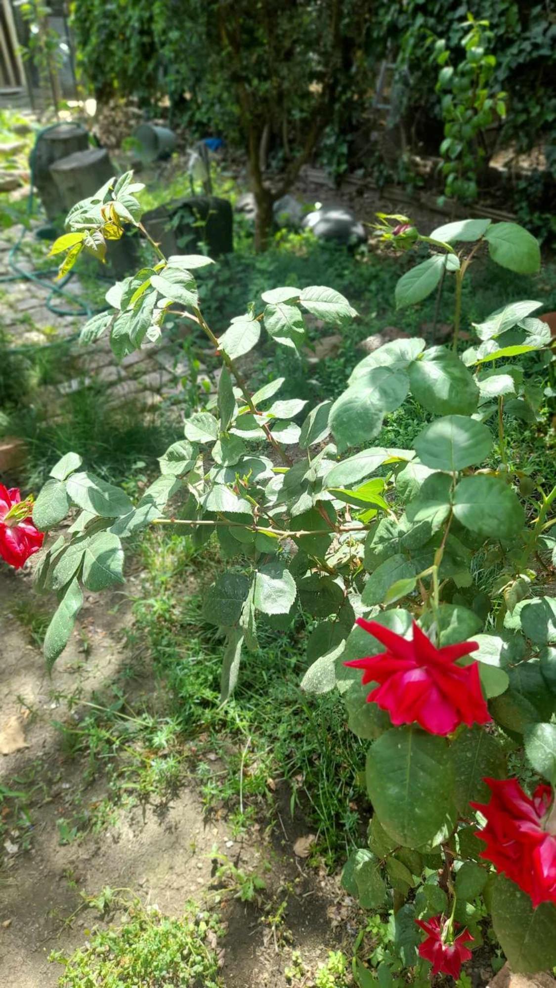 Gardens In Vake, Tbilisi酒店 外观 照片